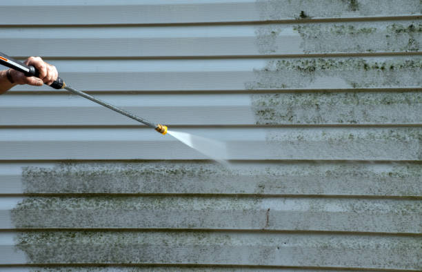 Reliable Elkin, NC Pressure Washing Services Solutions